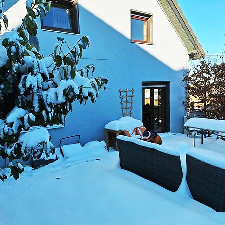 Ferienhaus Am Nationalpark Eifel Dreiborn Exteriör bild