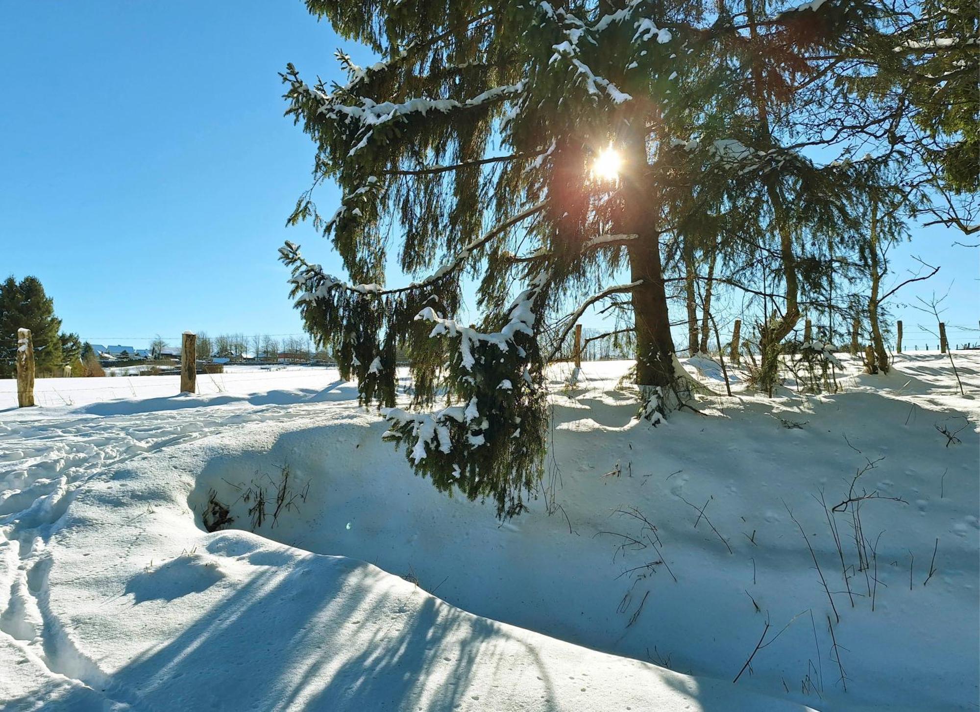 Ferienhaus Am Nationalpark Eifel Dreiborn Exteriör bild